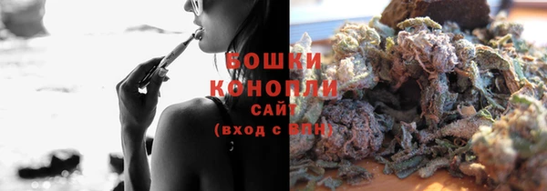 PSILOCYBIN Баксан