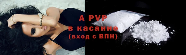 PSILOCYBIN Баксан
