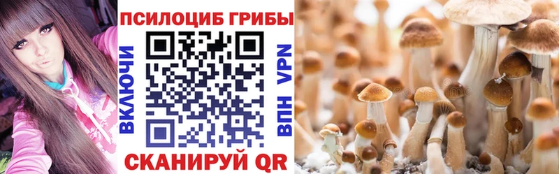 Галлюциногенные грибы мицелий  закладки  Черняховск 